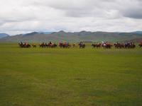 Tag 14 - Pferderennen