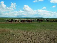 Tag 16- Besuch einer Nomadenfamilie