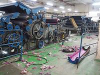 Tag 17 - Besuch einer Kaschmir-Produktion