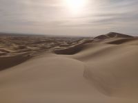 Ausflug auf die Chongor–Sanddüne