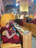 Besuch des Erdene–Zuu–Klosters mit einer buddhistischen Andacht