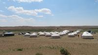 Jurtencamp