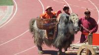 Naadam Fest