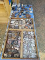 Saurierfundstelle Bayanzag: Souvenirs