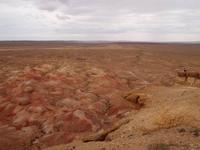 Tag 4 - White Stupa