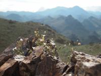 Tag 5 - Wanderung