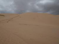 Tag 7 - Sanddüne