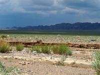 Tag 7 - Wüste Gobi