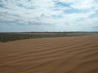 Tag 9 - Sanddüne