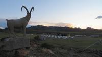 Unser heutiges Camp