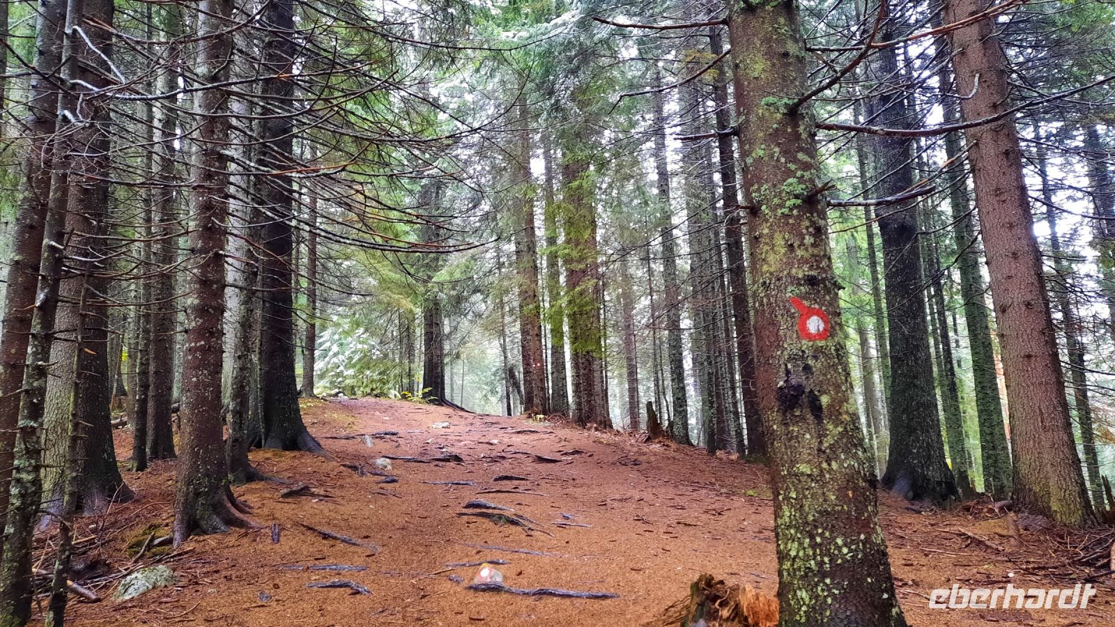 010 - Wanderweg, Nationalpark Durmitor, Montenegro