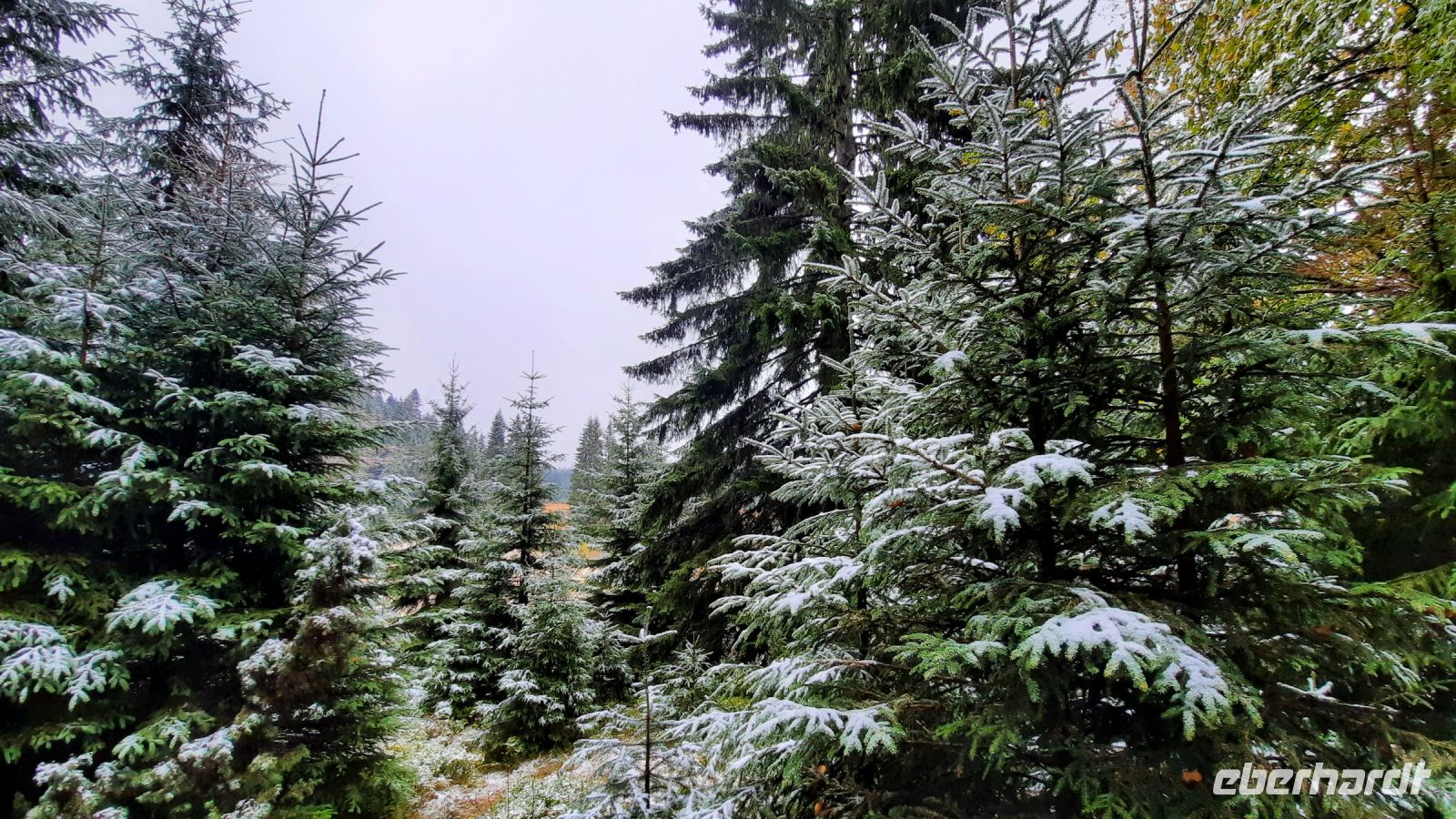011 - Wanderweg, Nationalpark Durmitor, Montenegro