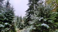 011 - Wanderweg, Nationalpark Durmitor, Montenegro
