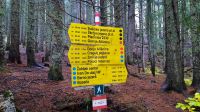 014 - Wanderweg, Nationalpark Durmitor, Montenegro