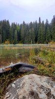 016 - See Zminje jezero, Nationalpark Durmitor, Montenegro