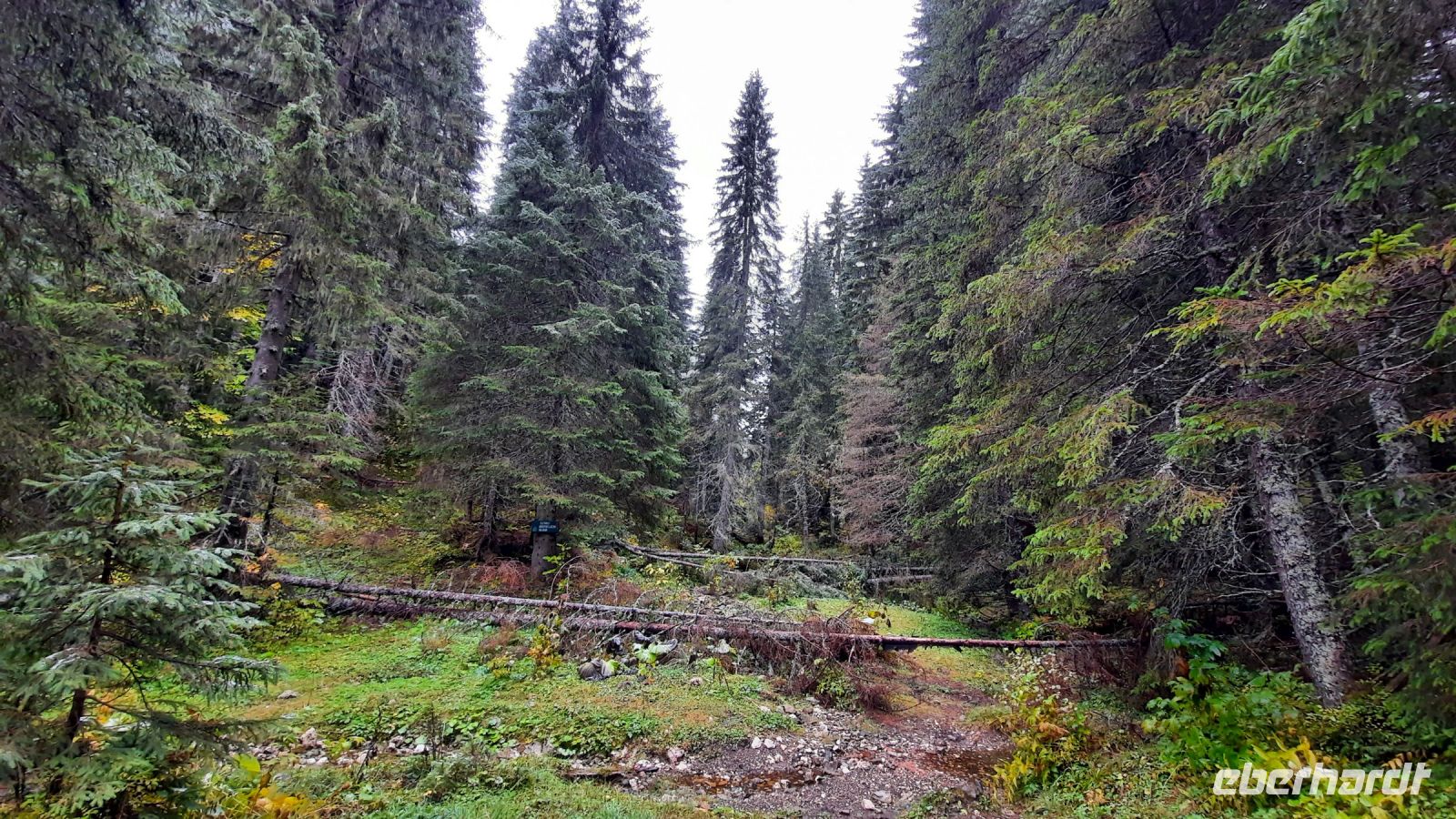 019 - Wanderweg, Nationalpark Durmitor, Montenegro