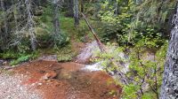 021 - Wanderweg, Nationalpark Durmitor, Montenegro