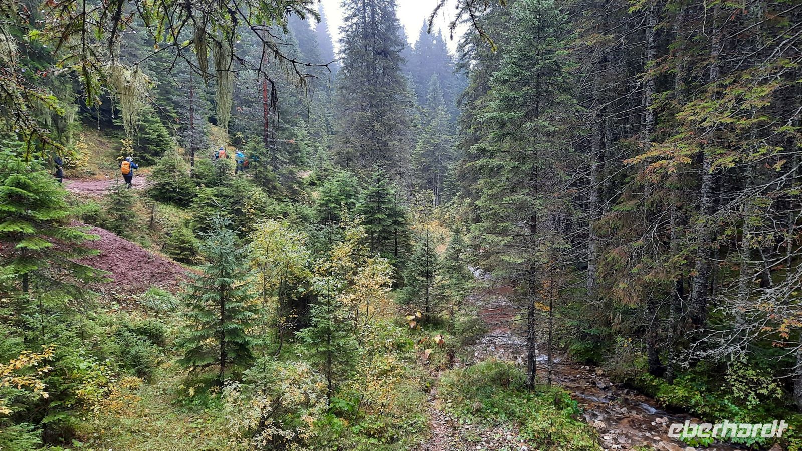 022 - Wanderweg, Nationalpark Durmitor, Montenegro