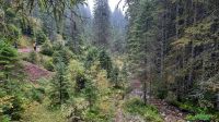 022 - Wanderweg, Nationalpark Durmitor, Montenegro