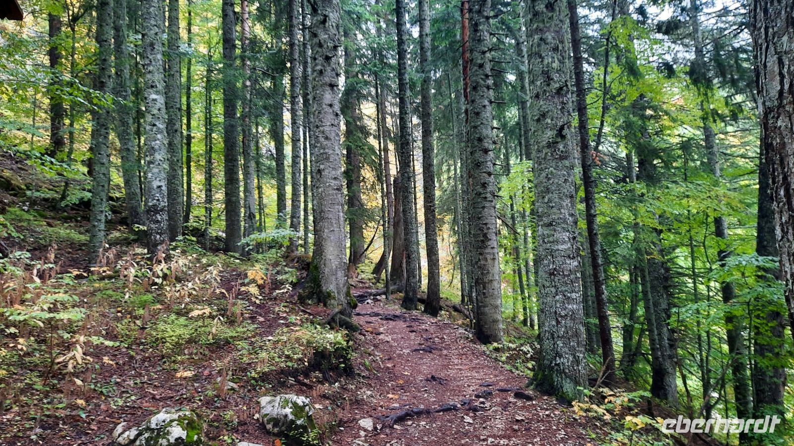 028 - Wanderweg, Nationalpark Durmitor, Montenegro