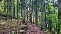 028 - Wanderweg, Nationalpark Durmitor, Montenegro