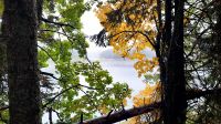 029 - Wanderweg, Nationalpark Durmitor, Montenegro