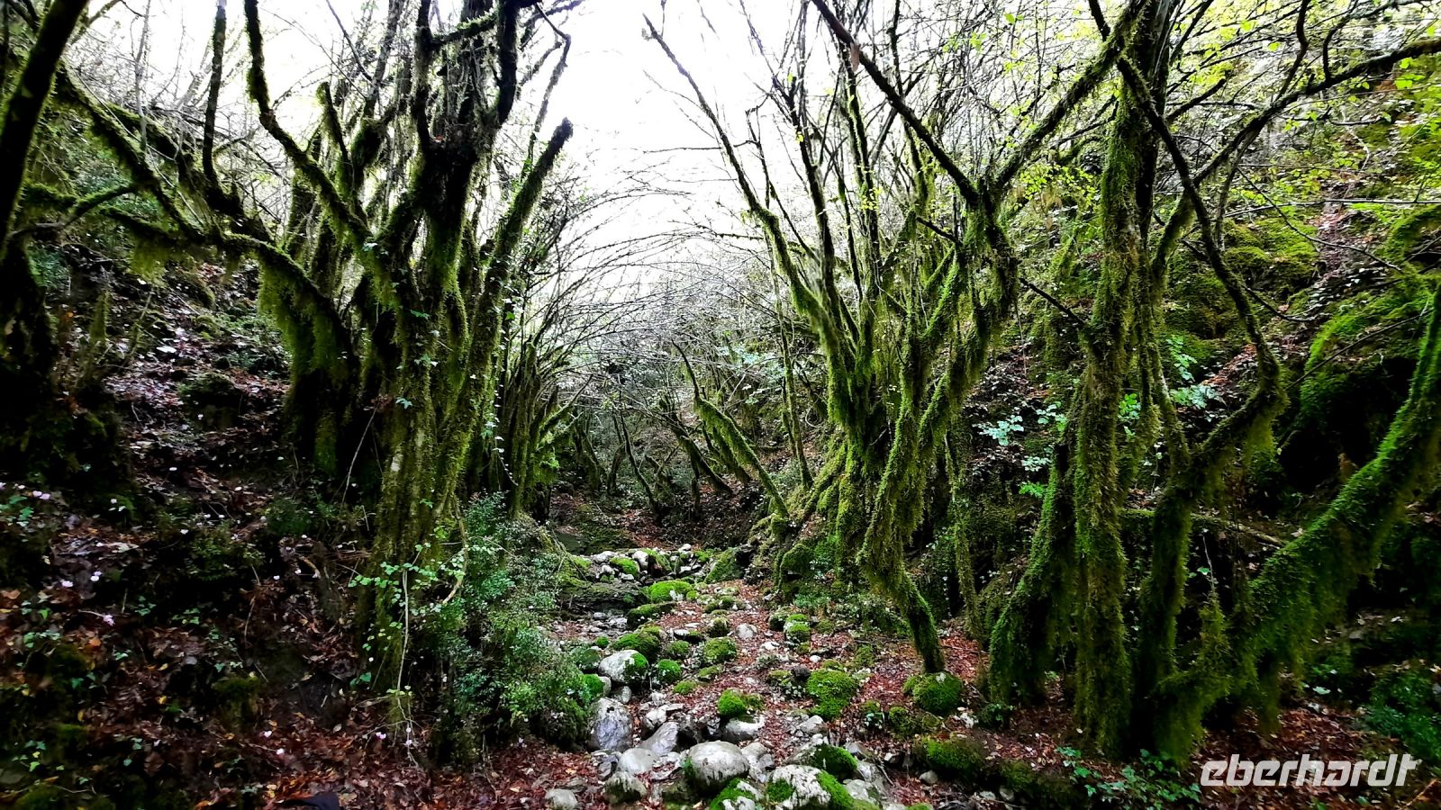 041 - Mrtvica-Schlucht Wanderung, Montenegro