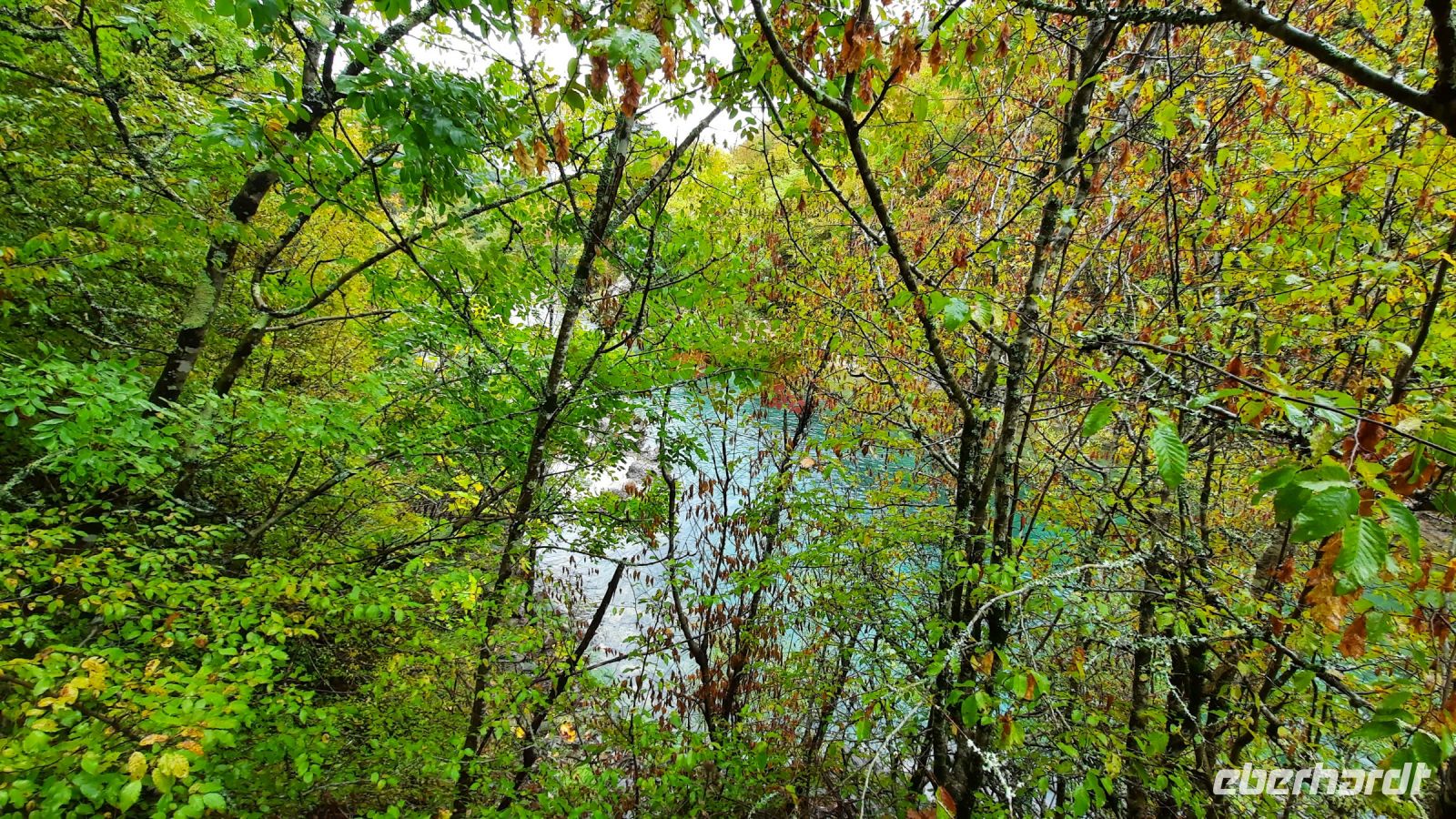 042 - Mrtvica-Schlucht Wanderung, Montenegro
