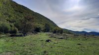 098 - Wanderung Adria-Küste, Budva, Montenegro