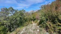 100 - Wanderung Adria-Küste, Budva, Montenegro