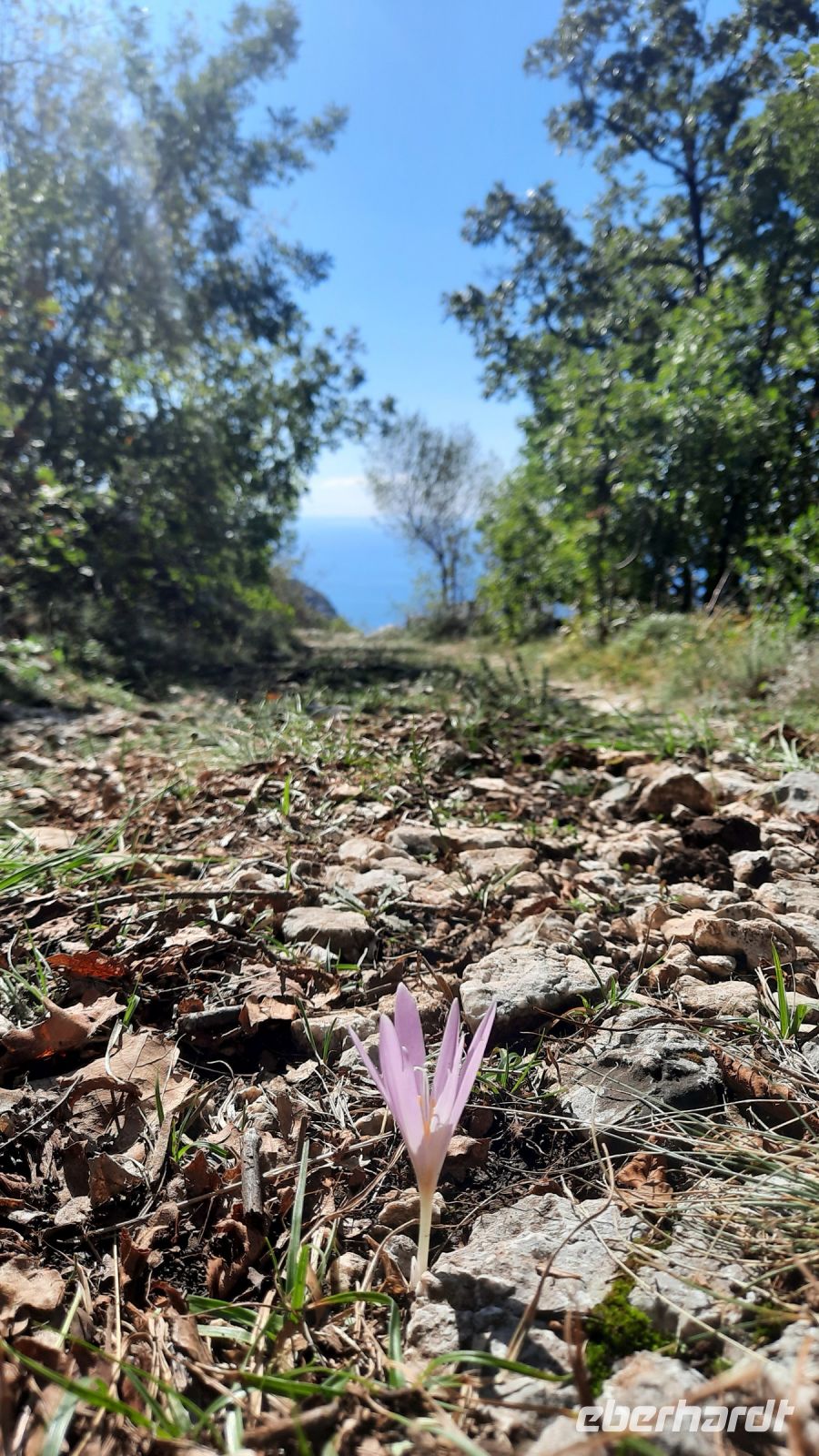 109 - Wanderung Adria-Küste, Budva, Montenegro