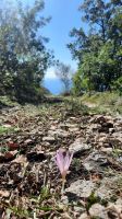 109 - Wanderung Adria-Küste, Budva, Montenegro