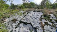 154 - Gipfel Sveti Ilija, Wanderung Vrmac, Montenegro