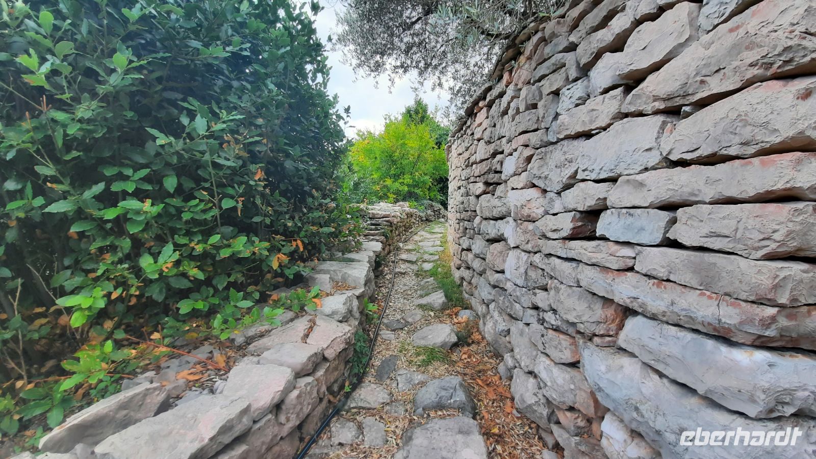 159 - Wanderung Vrmac, Montenegro