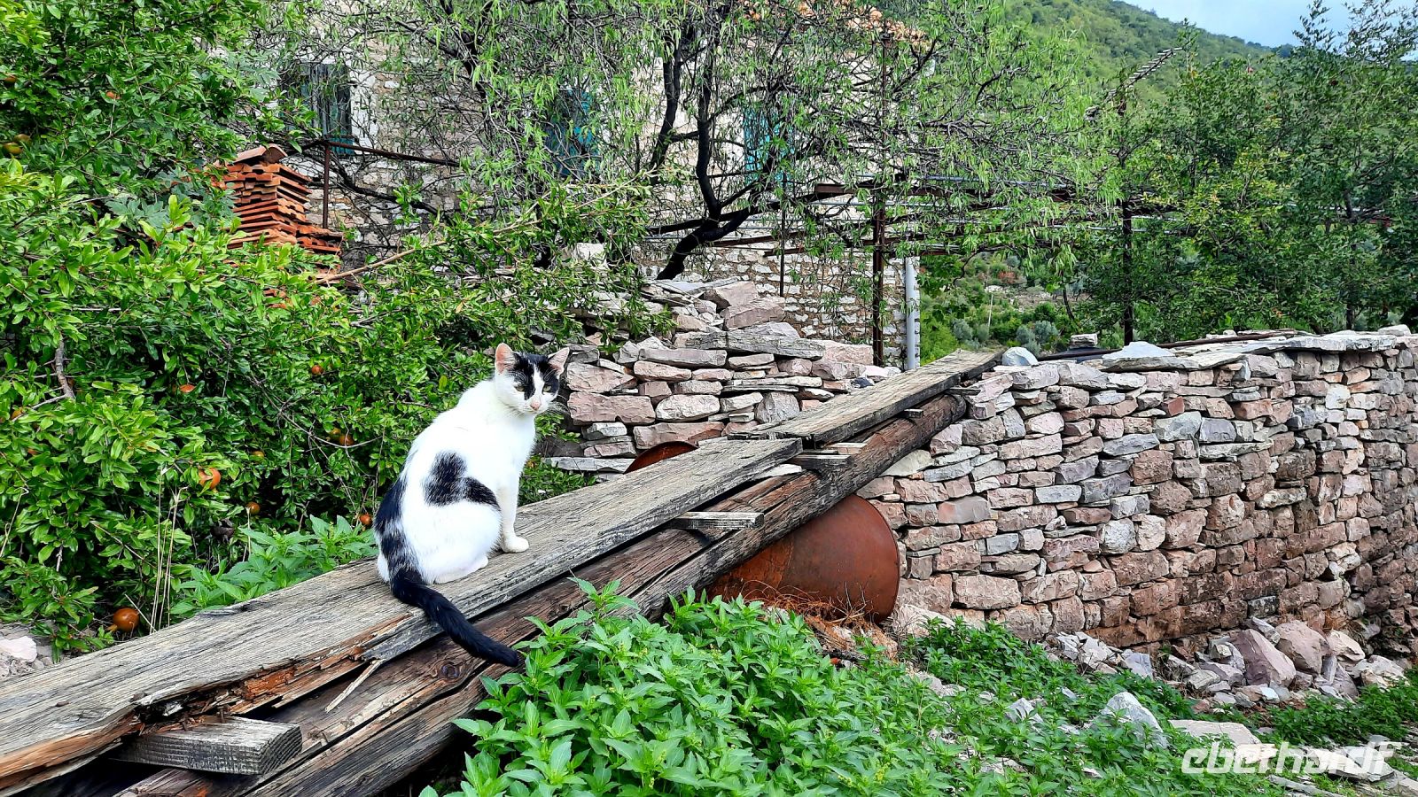 160 - Wanderung Vrmac, Montenegro