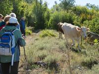 Wanderweg von Kosmac zur Küste