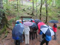 Biogradska Gora Nationalpark