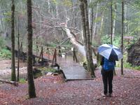 Biogradska Gora Nationalpark