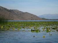 Bootsfahrt auf dem Skutarisee