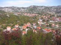 Cetinje