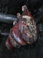 Lufttrocknung der Schinken