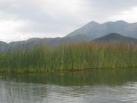 Skutarisee - Kanal zur Anlegestelle in Virpazar 