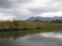 Skutarisee - Kanal zur Anlegestelle in Virpazar 