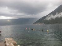 ... wieder unten in Dolnji Stoliv in der Bucht von Kotor