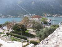 Kotor