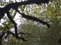 Wanderung im Nationalpark Biogradska Gora 