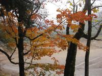 Wanderung im Nationalpark Biogradska Gora 