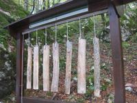 Wanderung im Nationalpark Biogradska Gora 