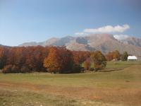 Laubfärbung auf der Fahrt in Richtung Niksic