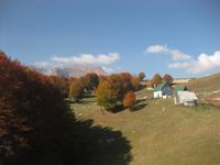 Laubfärbung auf der Fahrt in Richtung Niksic